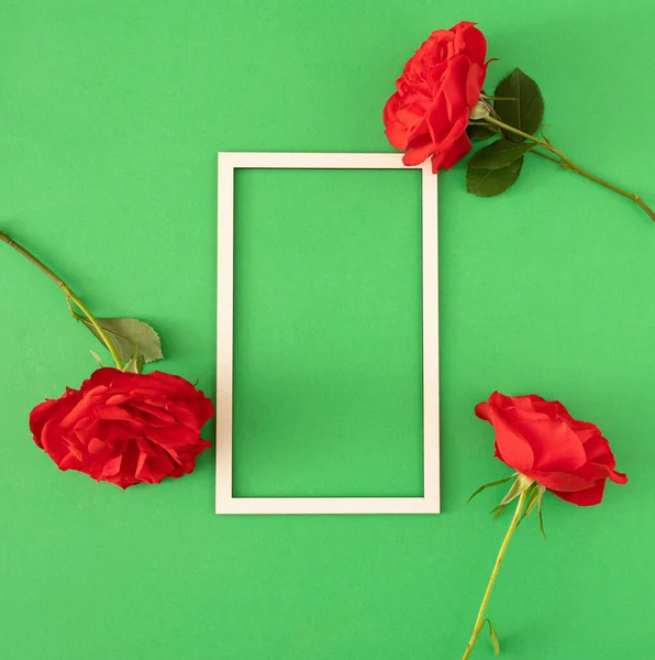 fresh red roses with white frame on the green background. summer tropical background. minimal flat lay with copy space