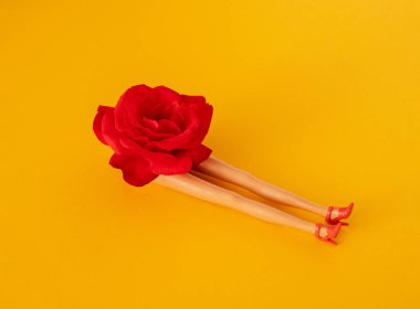 Taze kırmızı gül ve kadın bacakları ve sarı yaz arka planında ayakkabılar. Soyut sanat. Yaratıcı dekorasyon fikri. Modern, minimal arka plan. en düşük düzlük.