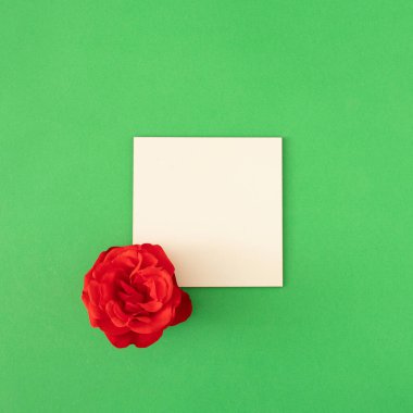 Yeşil arka planda beyaz kağıtlı taze kırmızı güller. Yaz tropik arka plan. Kopyalama alanı olan en küçük düz alan