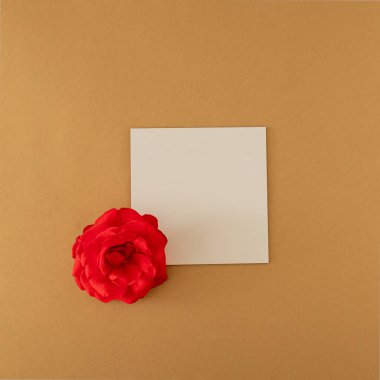 Altın arkaplanda beyaz çerçeveli taze kırmızı güller. Yaz tropik arka plan. Kopyalama alanı olan en küçük düz alan