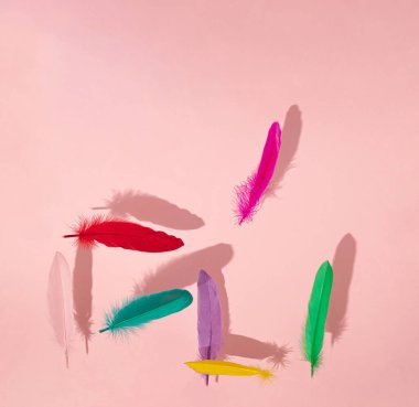 Pembe, kırmızı, yeşil, mavi, mor ve turuncu tüyler parlak pembe arka planda havada uçuşuyor. Yaratıcı dekorasyon fikri. soyut sanat