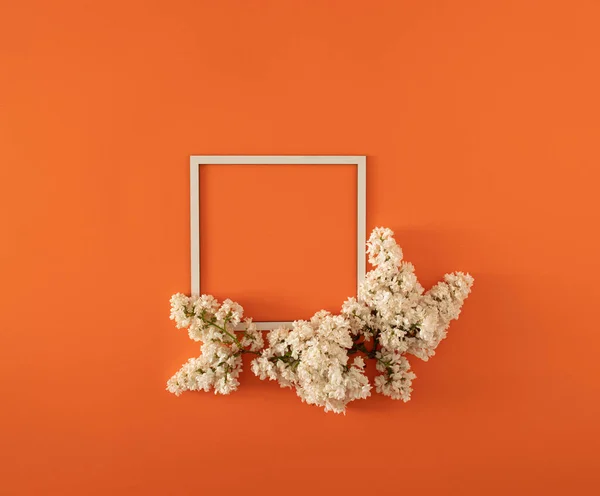 two fresh white lilac with cube frame on bright orange summer background with copy space. minimal natural decorative art. minimal flat lay.
