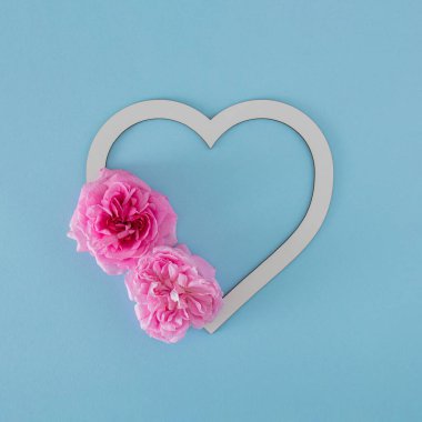 Taze pembe güller ve pastel mavi arka planda fotokopi alanı olan bir çerçeve. yaratıcı yaz geçmişi. en düşük düzlük.