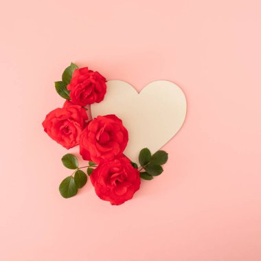 Pastel pembe arka planda beyaz çerçeveli taze kırmızı güller. Yaz tropik arka plan. Kopyalama alanı olan en küçük düz alan