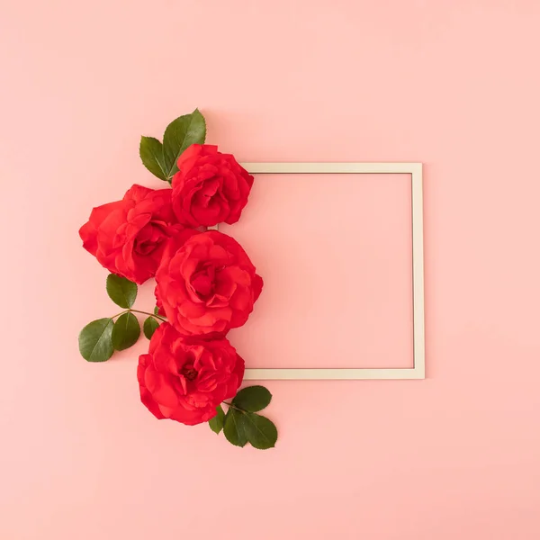Pastel pembe arka planda beyaz çerçeveli taze kırmızı güller. Yaz tropik arka plan. Kopyalama alanı olan en küçük düz alan