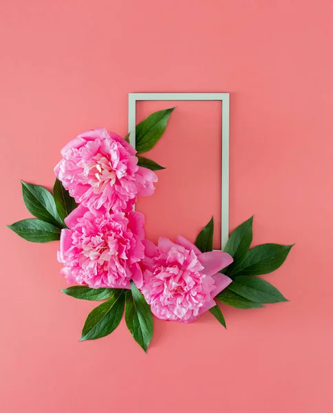 fresh pink peony with green leaves and frame on pink pastel background with copy space. minimal tropical summer flat lay with copy space. minimal garden background.