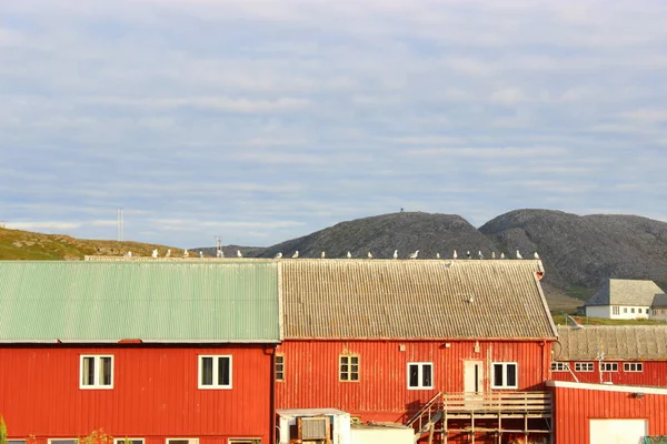 Maison Bord Eau Dans Village Norvégien Été — Photo