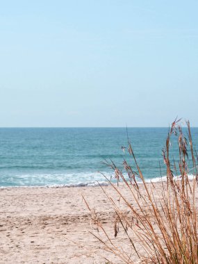 İspanya sahillerinde bir yaz günü