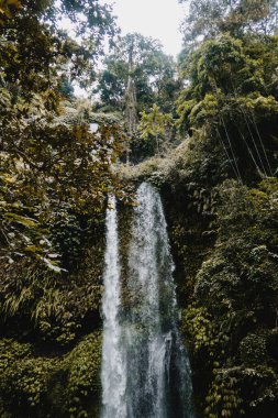Ormanda Doğal Saklı Şelale