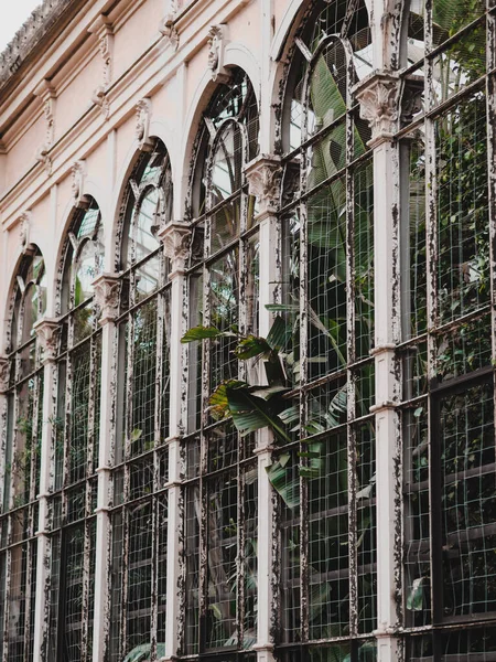 stock image An overgrown botanical green house