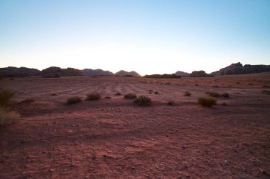 Jordan Wadi rom çölünün gün doğumu ve bitkileri
