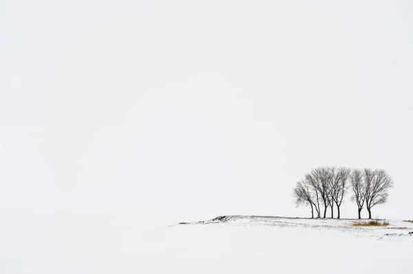 Minimalist Tarzında Bir Kış Manzarası Buzlu Karla Kaplı Bir Gölün — Stok fotoğraf