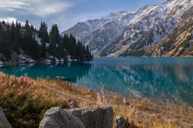 Mavi suyu olan dağ gölü ve bir sonbahar sabahı sahilde uzun köknar ağaçları.