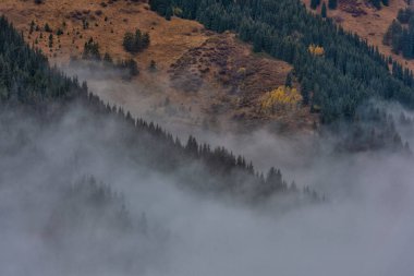 Bir sonbahar günü dağlarda sis yükselir.