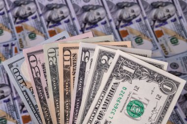 Toplanan 1, 2, 5, 10, 20, 50 ve 100 dolarlık banknotlar