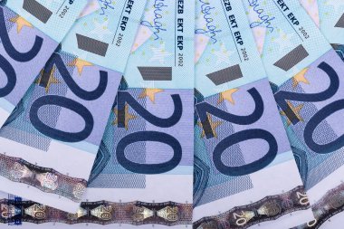 20 Euro 'luk banknotlar halinde çok sayıda fatura