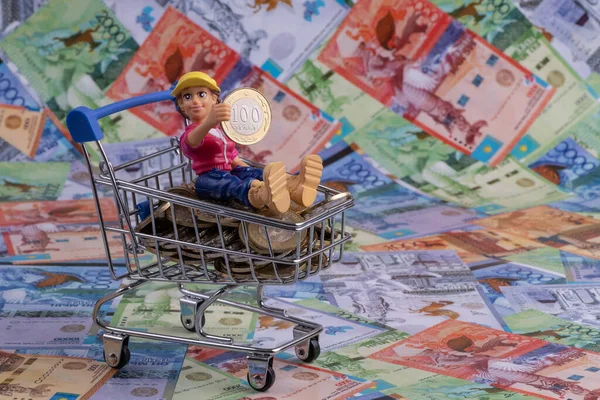 Egy Szimbolikus Személy Műanyag Figurája Egy Miniatűr Bevásárlókocsiban Egy Kazah — Stock Fotó