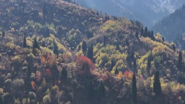 A mixed forest on the slopes of the Trans-Ili Alatau mountains near the Kazakh city of Almaty on an autumn day