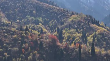 A mixed forest on the slopes of the Trans-Ili Alatau mountains near the Kazakh city of Almaty on an autumn day
