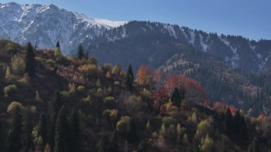 A mixed forest on the slopes of the Trans-Ili Alatau mountains near the Kazakh city of Almaty on an autumn day