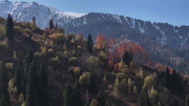 A mixed forest on the slopes of the Trans-Ili Alatau mountains near the Kazakh city of Almaty on an autumn day