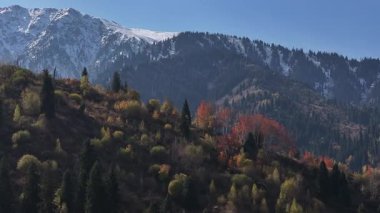 A mixed forest on the slopes of the Trans-Ili Alatau mountains near the Kazakh city of Almaty on an autumn day