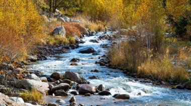 A picturesque landscape with a river in the middle of a mixed forest in the Trans-Ili Alatau mountains on an autumn day