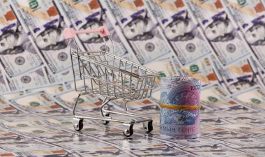 10,000 Kazakistan tenge faturası ve bir alışveriş arabası 100 dolarlık banknotlara karşı.