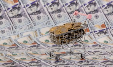 100 ve 200 Kazakistan paralı bir süpermarket tramvayı 100 Amerikan Doları 'nın arka planına karşı..