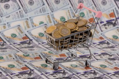 100 ve 200 Kazakistan paralı bir süpermarket tramvayı 100 Amerikan Doları 'nın arka planına karşı..