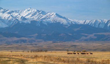 Güneydoğu Kazakistan 'ın Almaty bölgesinde bir sonbahar sabahı karla kaplı pitoresk bir dağ sırası..