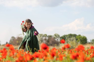 A cute four-year-old girl with wavy long hair in a poppy field on a spring day