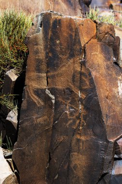 Güneydoğu Kazakistan 'ın Almaty bölgesindeki Tanbaly Doğa Rezervi' nin eski petroglifleri.