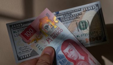 100 Amerikan doları ve 100 Meksika pezosu.