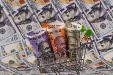 Hindistan 100, 200 ve 500 rupilik banknotlara karşı 100 dolarlık banknotlar