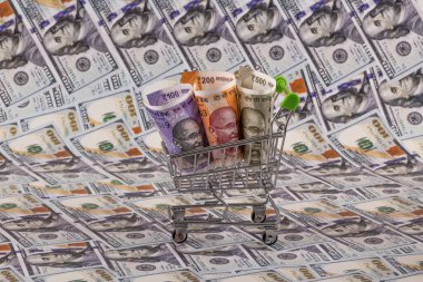 Hindistan 100, 200 ve 500 rupilik banknotlara karşı 100 dolarlık banknotlar