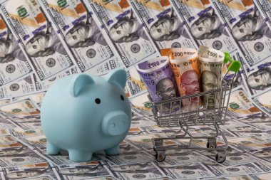 Hindistan 100, 200 ve 500 rupilik banknotlara karşı 100 dolarlık banknotlar