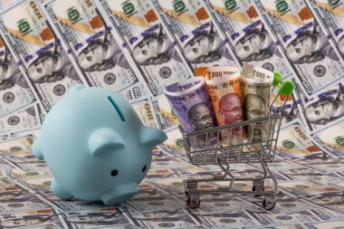 Hindistan 100, 200 ve 500 rupilik banknotlara karşı 100 dolarlık banknotlar