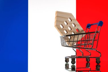 Minyatür bir süpermarket alışveriş arabasının içinde sembolik ahşap bir ev Fransız bayrağının arka planına karşı..