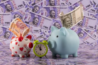 İki domuz kumbarasına karşı Hint rupileri.