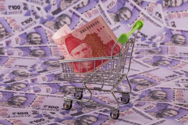 Minyatür bir süpermarket alışveriş arabasında 100 rupi. Arka planda 100 rupi var.