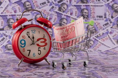 Minyatür bir süpermarket alışveriş arabasında 100 rupi. Arka planda 100 rupi var.