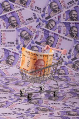 Hint rupileri ve minyatür süpermarket alışveriş arabası.