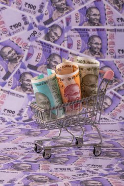 Hint rupileri ve minyatür süpermarket alışveriş arabası.