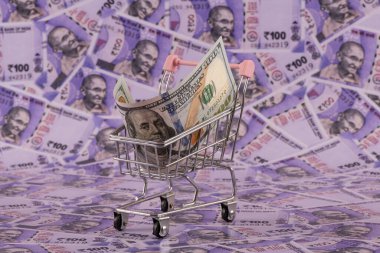 Minyatür bir alışveriş arabasında 100 dolarlık bir banknot. Arka planda Hindistan 100 rupisi var.