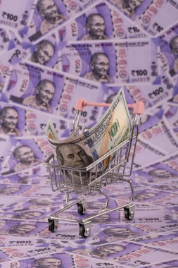 Minyatür bir alışveriş arabasında 100 dolarlık bir banknot. Arka planda Hindistan 100 rupisi var.