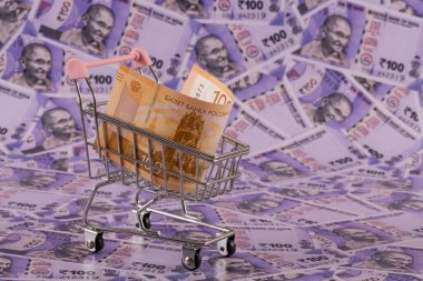 100 Rus rublesi, Hindistan Cumhuriyeti 'nin 100 rupilik banknotuna karşı.