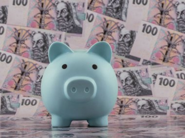 100 Çek kronu banknotuna karşılık bir kumbara.