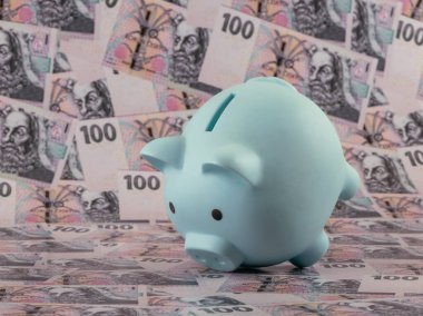 100 Çek kronu banknotuna karşılık bir kumbara.