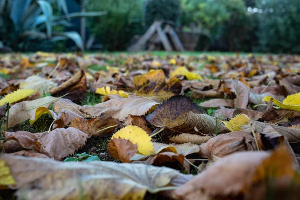 Işık Peri Masalı Bulutları Arasında Anımsatıcı Dağ Günbatımları — Stok fotoğraf